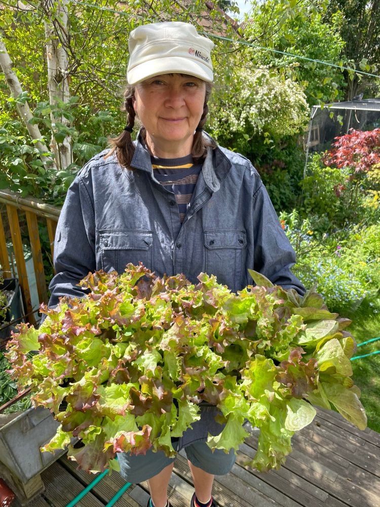 Person (me) with a cheesy grin holding a big tray of lettuce seedlings! 