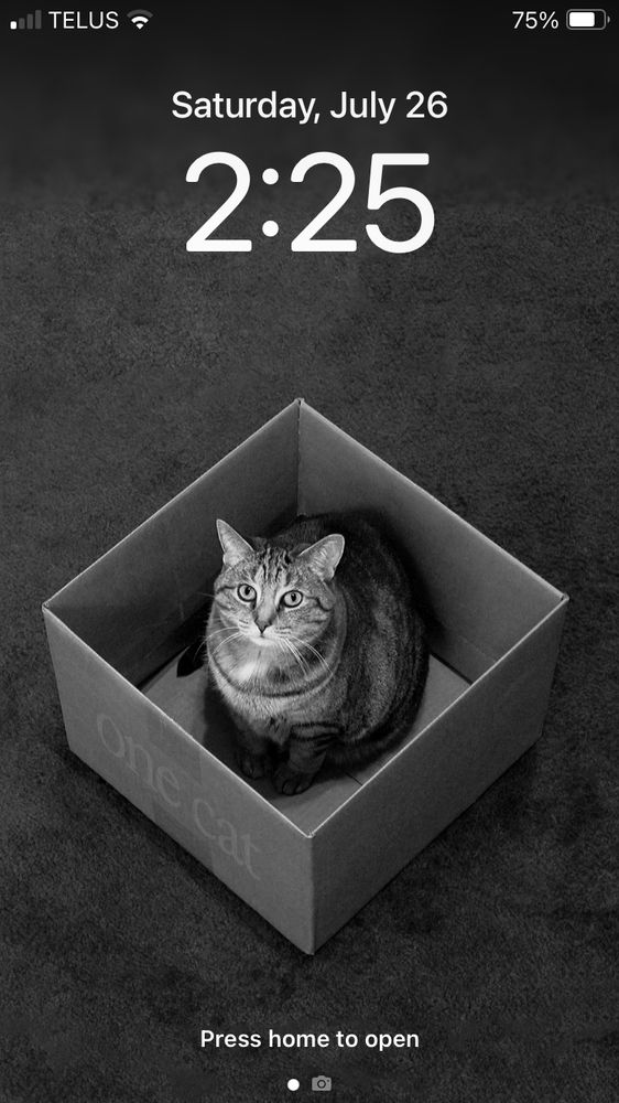 Phone lock screen featuring a black and white graphic of a cat on a card board box lightly labeled “one cat”