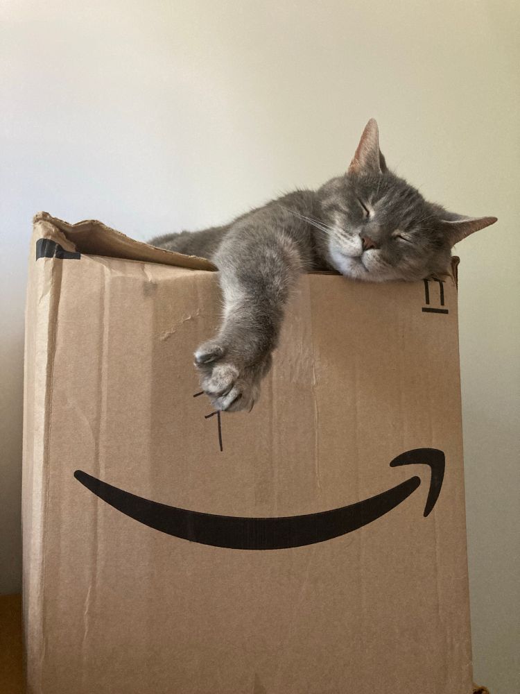A grey tabby sleeps on top of a buckling Amazon box, her arm hanging over the side, pointing towards the big smile trademark which echos the expression on the cat’s face.