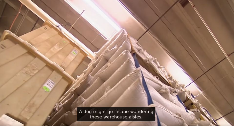 Up angled shot of a warehouse shelf from a History Channel History of Tea doc with the overlaid closed caption reading 'A dog might go insane wandering these warehouse aisles.'