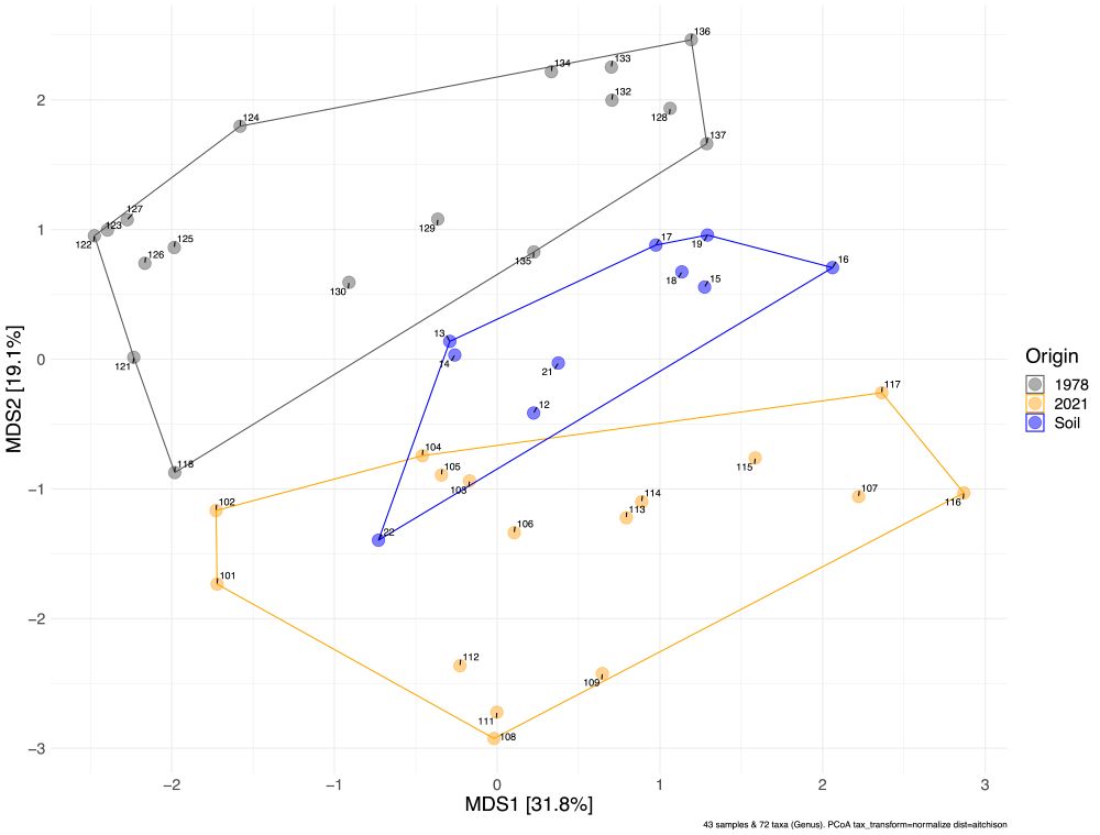 Non-metric Multidimensional Scaling (NMDS) plot illustrating clustering of microbial communities by sample year and type (bone or soil). The NMDS shows the differences in microbial community composition across samples, with distinct clustering observed by year. The analysis reveals that soil samples exhibit intermediate similarity between the microbiome of freshly excavated bones and museum samples.