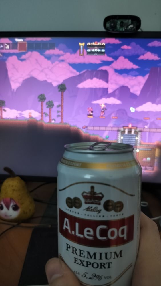 Beer and terraria and Pearto