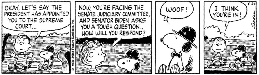 Peanuts by Charles Schulz for May 24, 1993 | GoComics.com