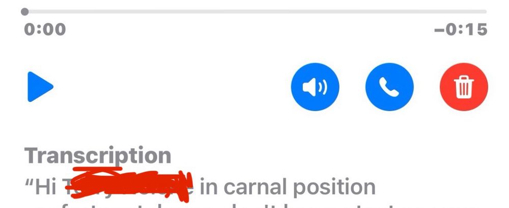 Auto-Transcription of a voice message:

“Hi [name redacted] in carnal position