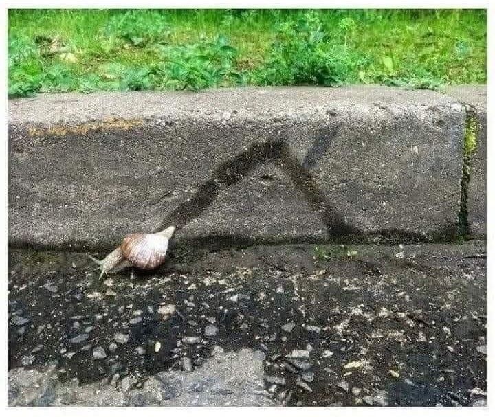 Photo of a snail and its trail: it's climbed up the side of a brick, then made a sharp turn down again.