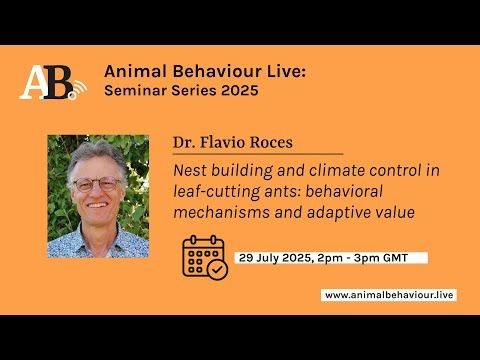 Seminar Series 2025: 3. Dr. Flavio Roces