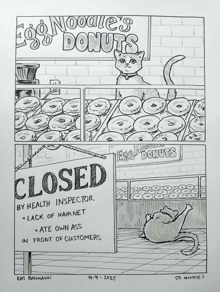 2-panel comic drawn in pen with inkwash shading. The panels are equal in size and stacked vertically.
Panel 1 shows my shorthair cat Egg Noodle, sitting proudly behind the counter of his very own donut shop, with a coffee maker, subway tiles and a big sign saying "Egg Noodle's Donuts" in the background.
Panel 2 is pulled out to show the exterior of the shop door, with a sign that says "CLOSED by Health Inspector. *Lack of Hairnet, *Ate own ass in front of customers", and we can see Egg Noodle sitting on the floor of the shop, his dumb little hind legs in the air as he hunches over and licks his own butt (facing away from us, thank goodness).
Beneath the comic is my signature (Kat Baumann), today's date (9-9-2025) and the time I spent drawing this (50 minutes)