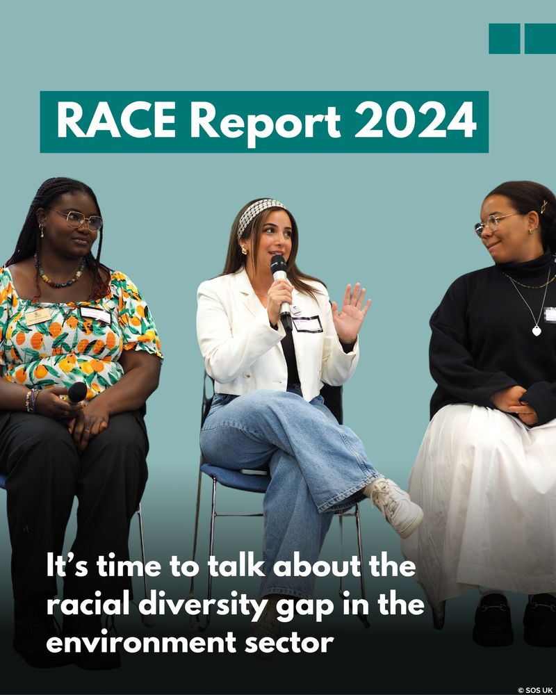 RACE Report 2024 It's time to talk about the racial diversity gap in the environment sector