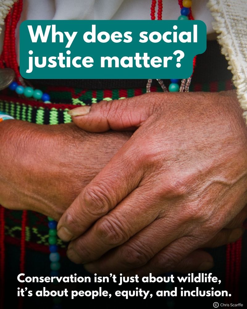 A close-up of an elder’s hands adorned with colorful beads and traditional fabric. The text reads, "Why does social justice matter?" and "Conservation isn’t just about wildlife, it’s about people, equity, and inclusion."