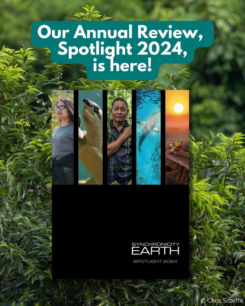 Our Annual Review, Spotlight 2024, is here! Inset image of Spotlight cover with a collage of people and wildlife against a forest backdrop.