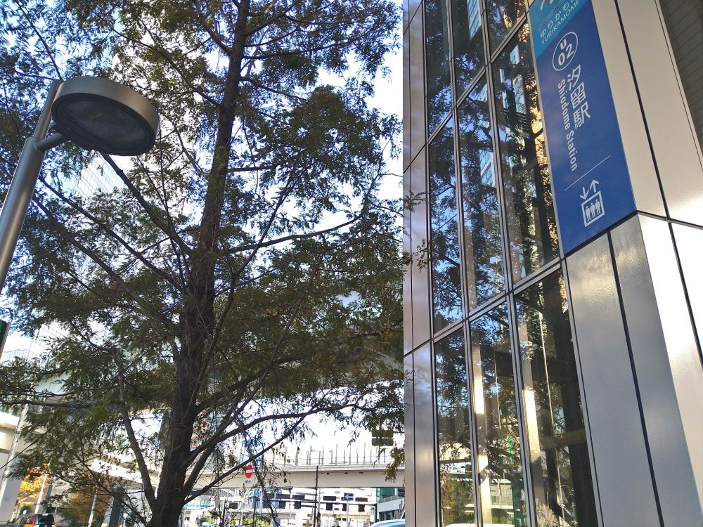 開発され尽くしてんなあ〜とふと思い、いや、今のは言葉選びが良くなかったかも…と謎の配慮をしかけた駅の写真