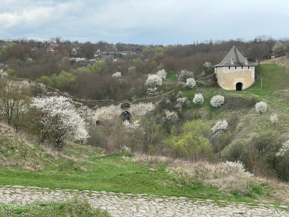 Хотинська фортеця весною. 
