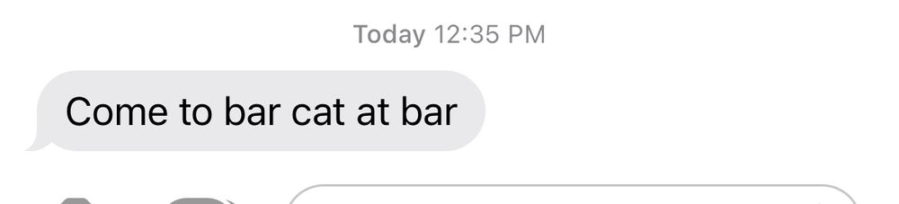 Text that says “come to bar cat at bar”