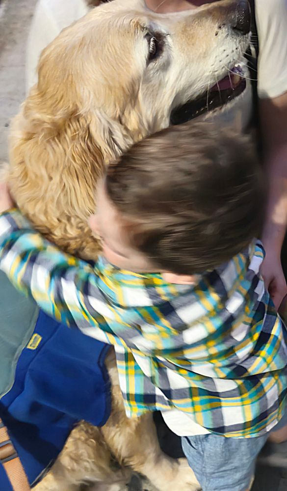 A boy we've never met before, quickly went from nervously petting giant Golden Retriever Jackson Bird to full on hugging him!