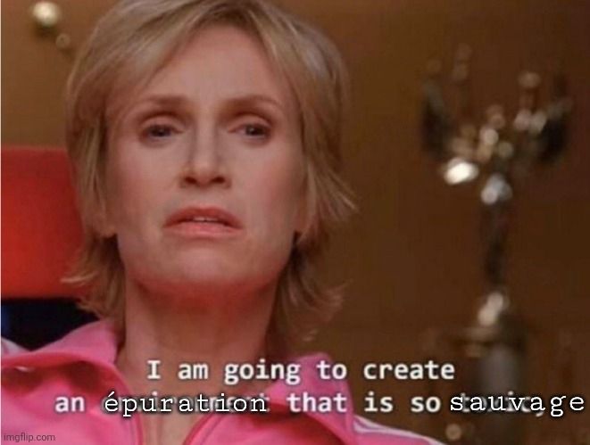 Jane Lynch meme, with her creating an épuration so sauvage