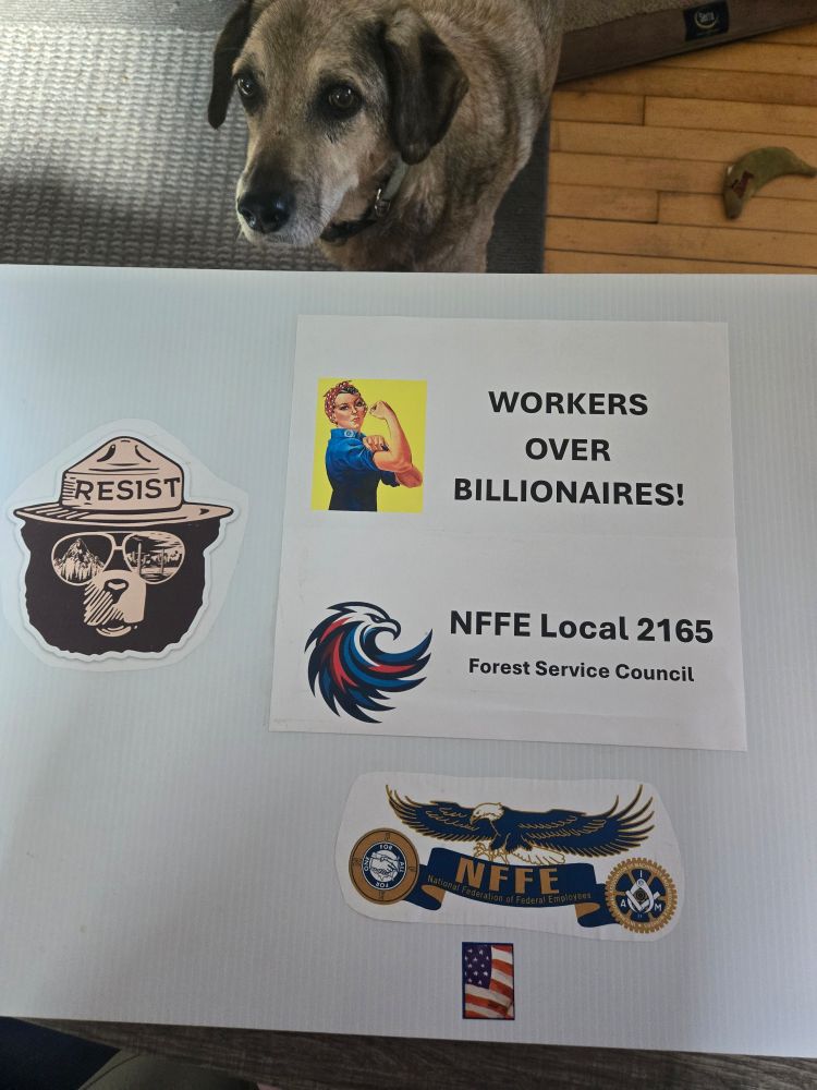 Homemade protest sign. Rosie the rivetor. Workers over billionaires. NFFE with American Eagle logo. Smoky Bear with word resist on his hat.
