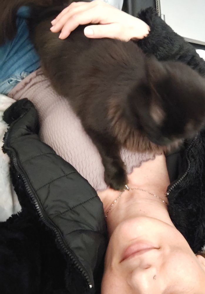 Karam (kedi) bebişliğinde olduğu gibi kolyemle oynayıp üzerime uzandı