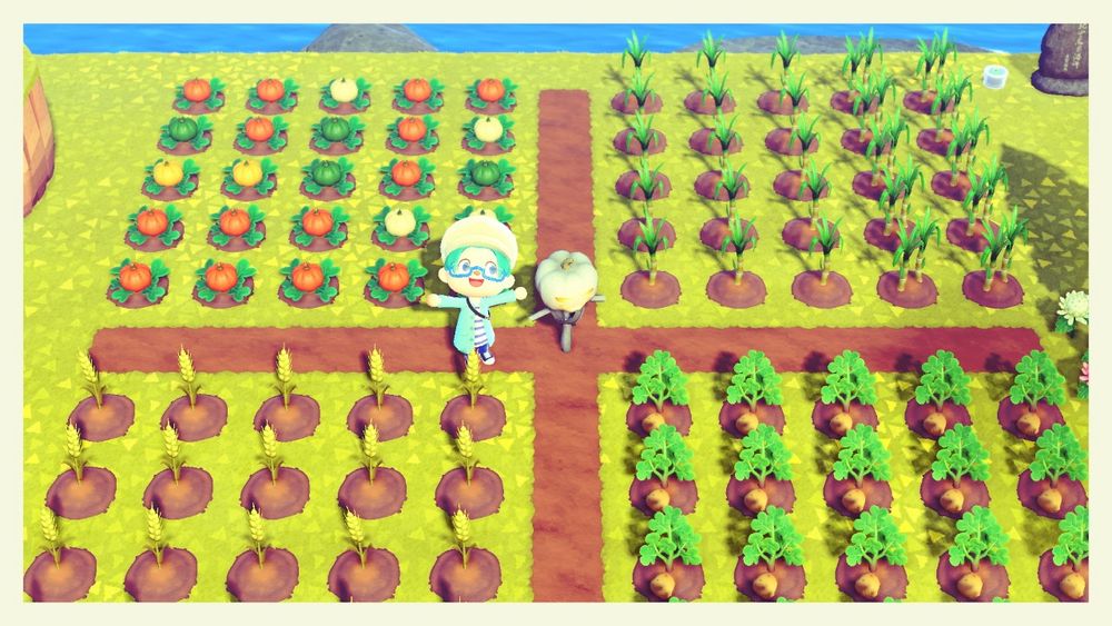 Una captura de pantalla del juego Animal Crossing New Horizons para Nintendo Switch. En ella se ve a mi personaje junto a un espantapájaros con cabeza de calabaza blanca en medio de un huertito lleno de verduras y hortalizas diferentes, separadas en cuatro secciones cuadradas de igual tamaño por unos caminos de tierra marrón. Mi personaje tiene el pelo azul turquesa, y va vestido con una gorra blanca, unas gafas azules de montura inferior, un abrigo turquesa abierto por delante, una camiseta de rayas horizontales blancas y azules, unos pantalones oscuros y unas zapatillas azul marino similares al diseño de las Converse tradicionales. Aparece sonriendo a cámara. Arriba a la izquierda hay calabazas de colores diversos: naranja, amarillo, verde y blanco. Arriba a la derecha hay cañas de azúcar, abajo a la izquierda hay espigas de trigo y abajo a la derecha hay patatas. En la esquina superior derecha de la imagen se observa lo que parece ser una tumba junto a la que hay una pequeña vela azul. En el fondo de la imagen se aprecia el mar azul. El marco de alrededor de la foto es blanco.