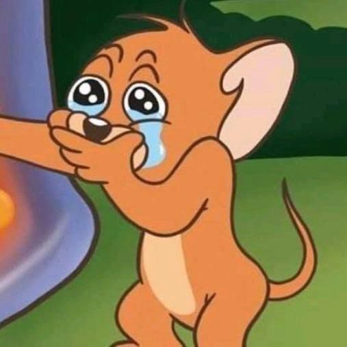 Jerry the mouse crying meme