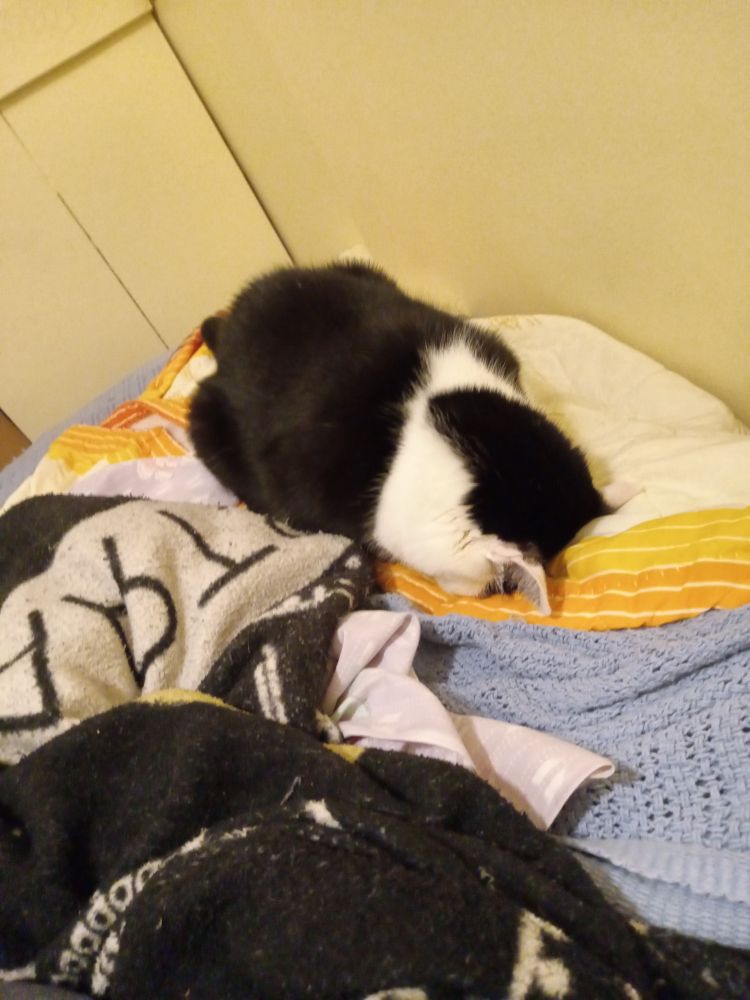 Arya face plants as a form of relaxation. 