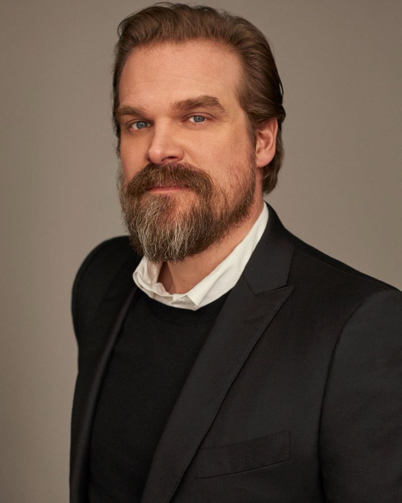 Image of David Harbour 