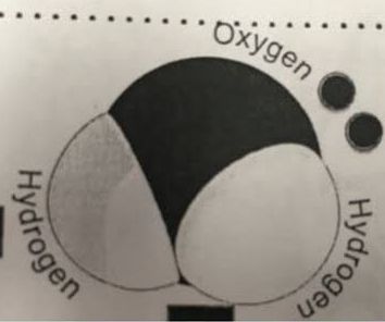 molécula com 2 hidrogênios e 1 oxigênio, parecendo uma bunda muito suculenta
