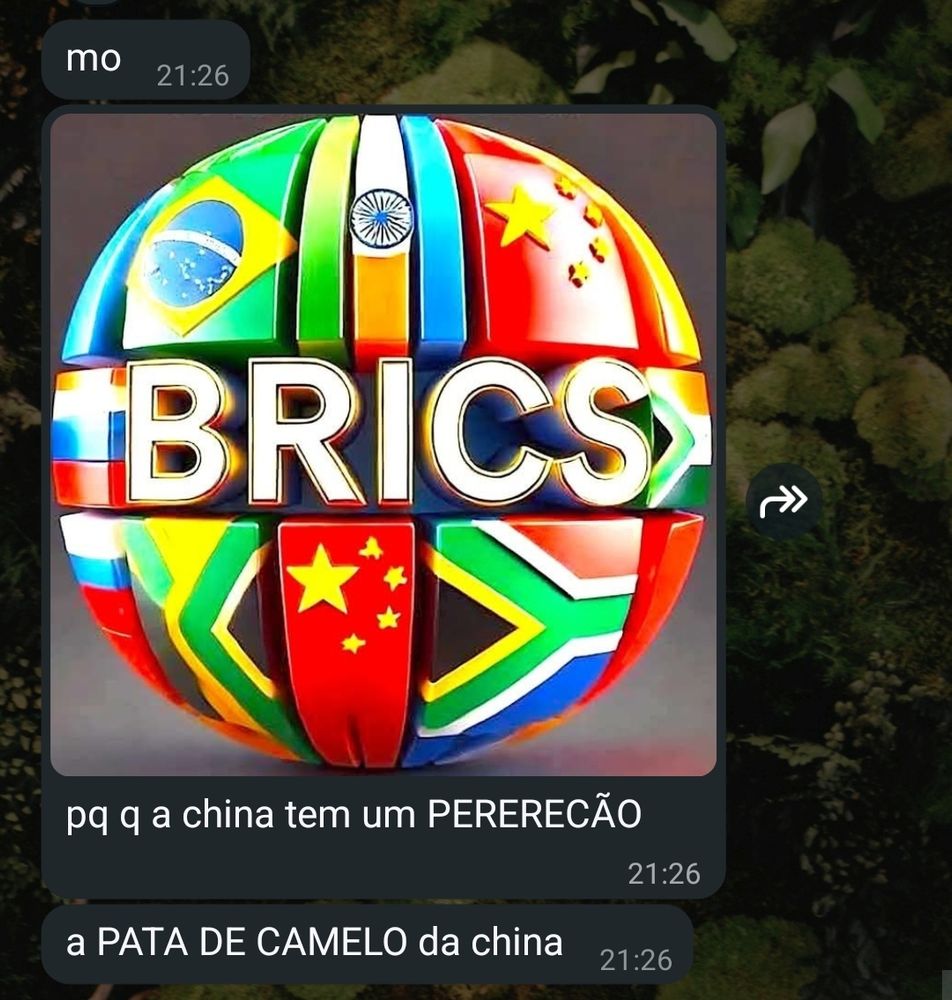 print de mensagens recebidas no whatsapp.

a pessoa enviou a imagem de uma bola tridimensional escrito brics com as bandeiras dos países do brics. a bandeira da china, na parte inferior da bola, tem uma fenda bem no meio similar à de uma xereca.

as mensagens dizem: "mo. pq q a china tem um PERERECÃO. a PATA DE CAMELO da china"