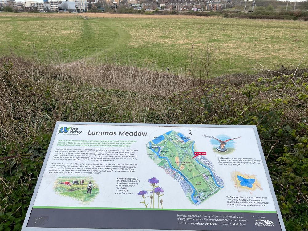 Lammas meadow info board and view across the meadow 