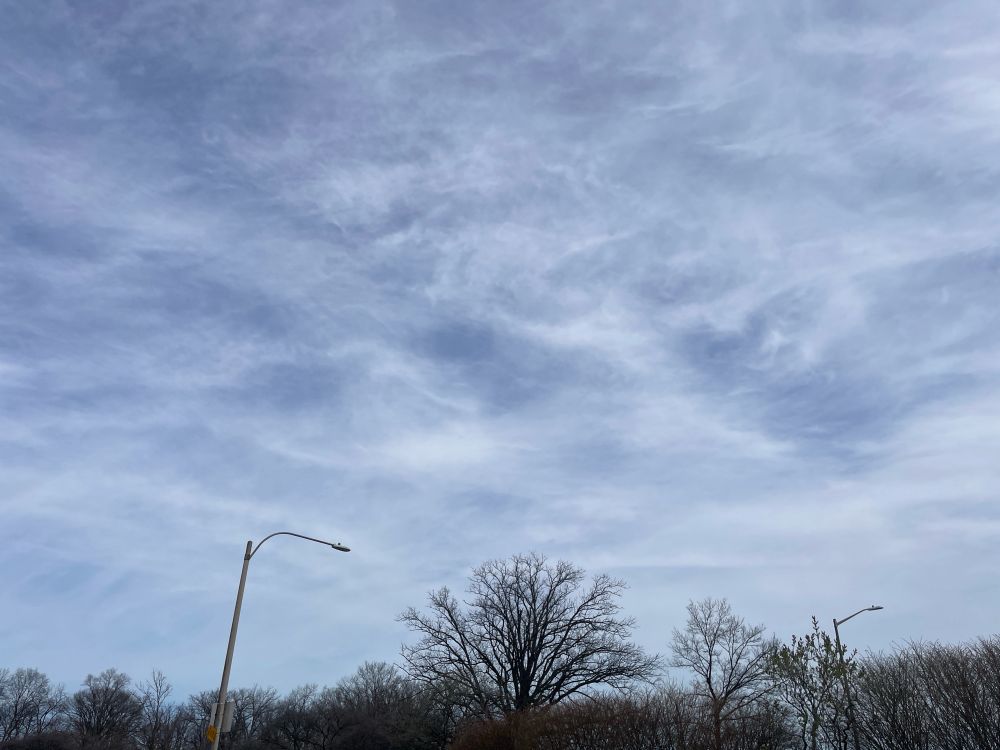 Some trees in the foreground and above that wispy clouds across the whole sky