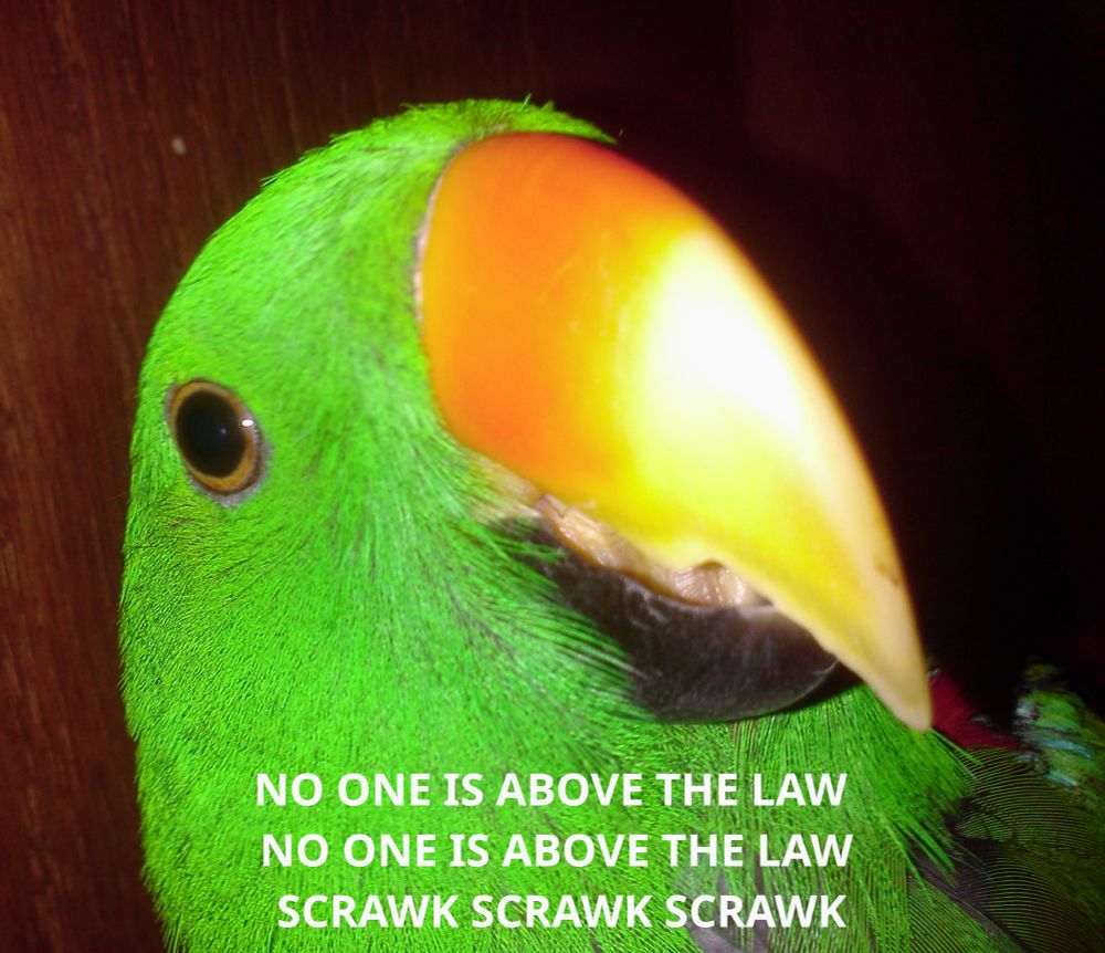 Comment image