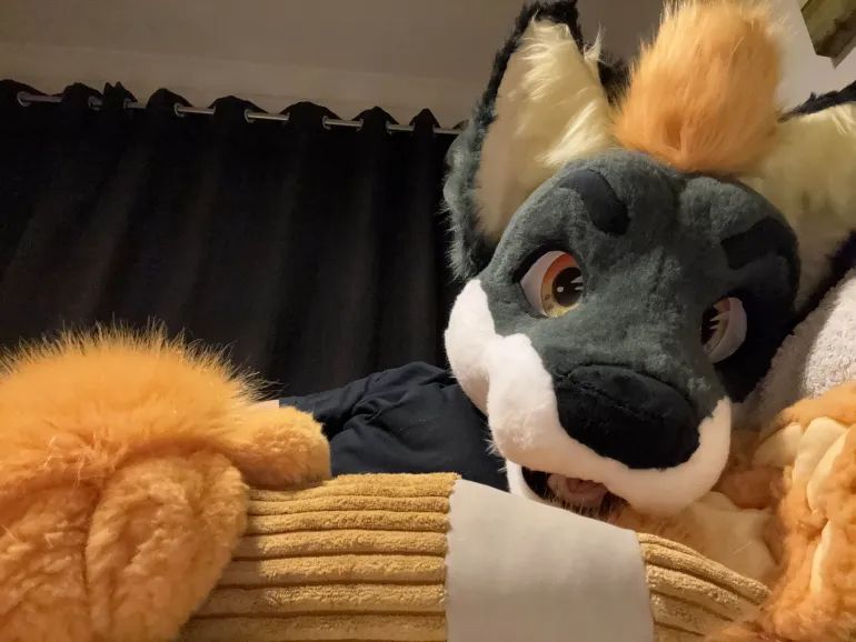 A man wearing a fursuit, which is a hybrid of a wolf and an otter. 
The person is lying on a bed and holding a large golden plush pencil. 