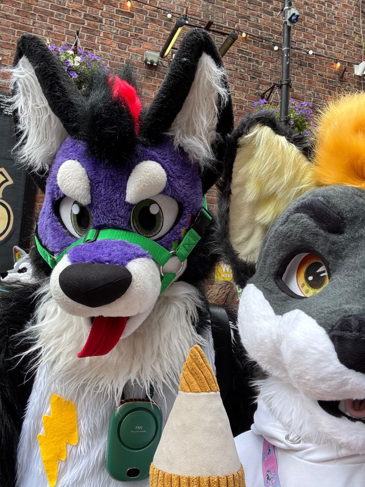 A photo of two canine fursuiters. 