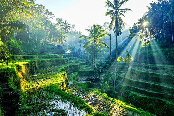 photo of Ubud courtesy of Planet Ware