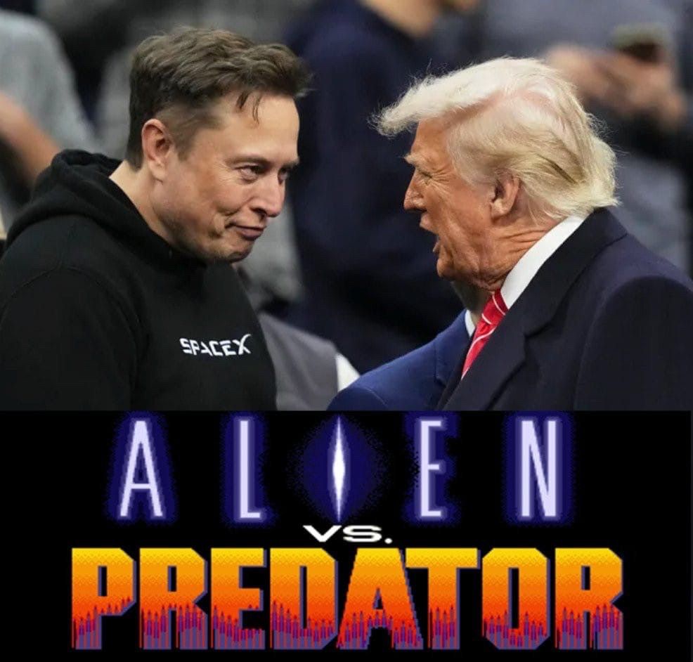 Musk Alien.
