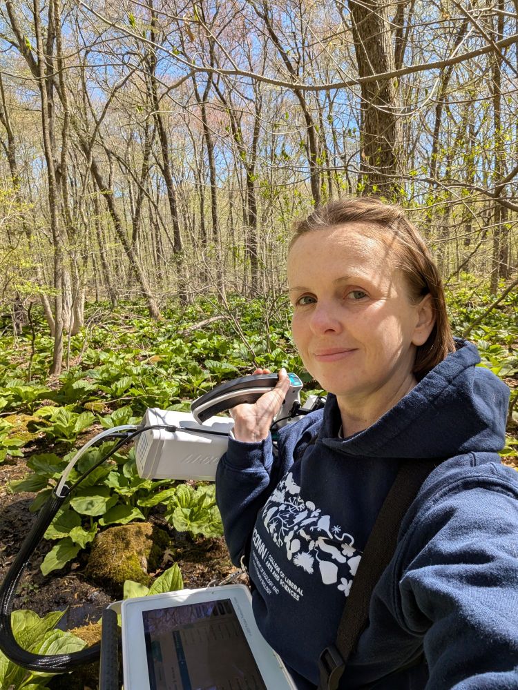 Photo of karolina in the woods, wearing a blue UConn eeb hoodie, with a licor strapped to her. 