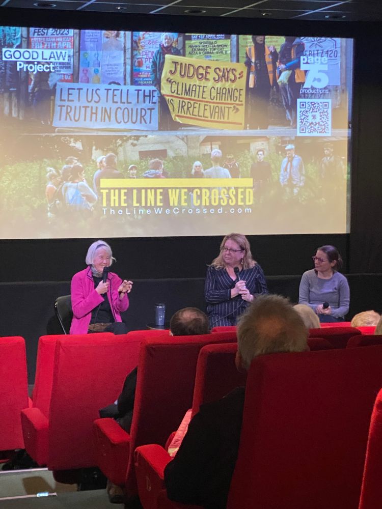 Trudi Warner and Liz Smith Q&A moderated by Good Law Project