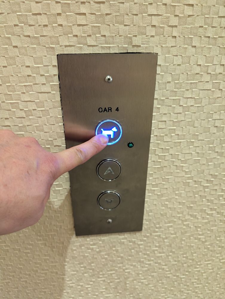 the elevator to dog world has been summoned with the press of a button 