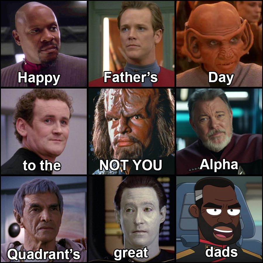 A meme in a 3x3 grid, each section with a dad from Star Trek: Sisko, Tom Paris, Rom, Miles O'Brien, Worf, Riker, Sarek, Data, and Admiral Freeman (Becket Mariner's dad). The caption runs across each picture: "Happy Father's Day to the (WORF: NOT YOU) Alpha Quadrant's great dads"