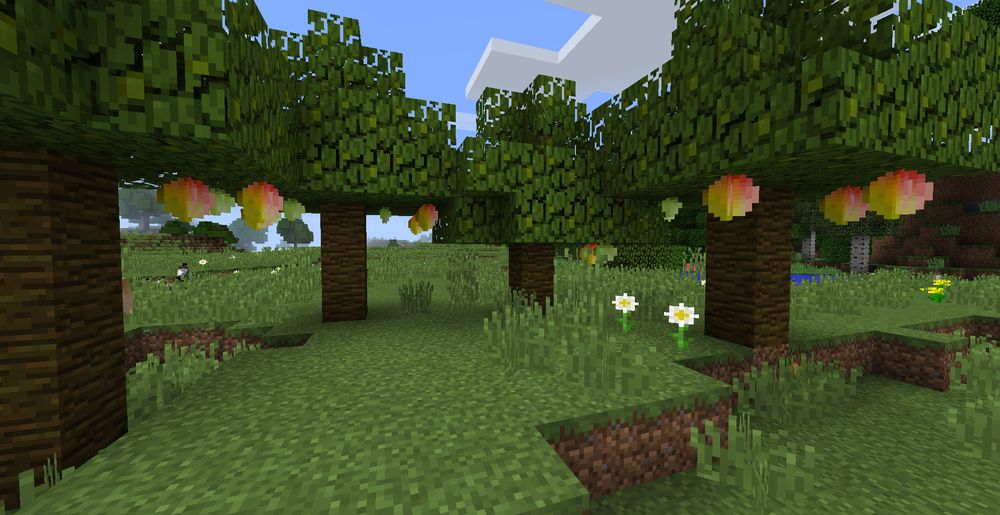 Mango trees from Pam's HarvestCraft in a plains biome