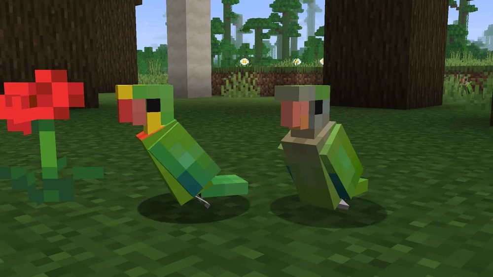 A Minecraft scene of a pair of male and female Superb parrots stand next to a poppy flower in a dark oak forest
 