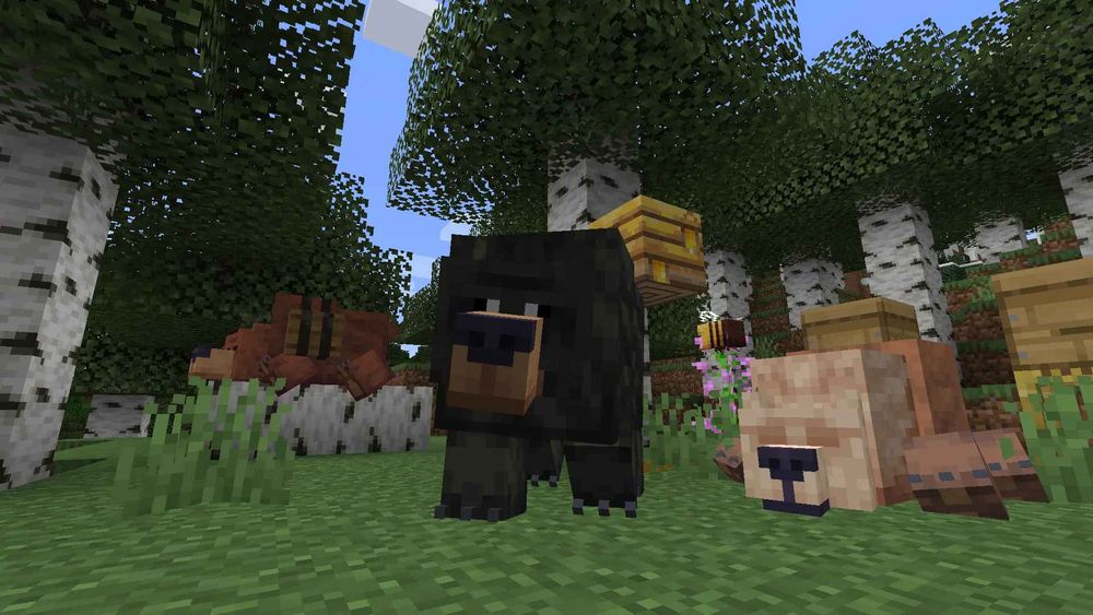 A Minecraft scene of three Bears in a birch forest, one with dark fur looks at the viewer, another with red fur lays down spread out while on a fallen log, while carrying a barrel on their back, the last bear with cream fur lays on the grass.