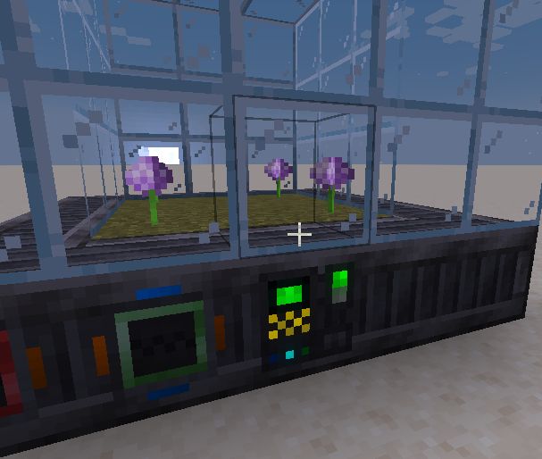 A multiblock greenhouse covered in glass with alliums growing inside