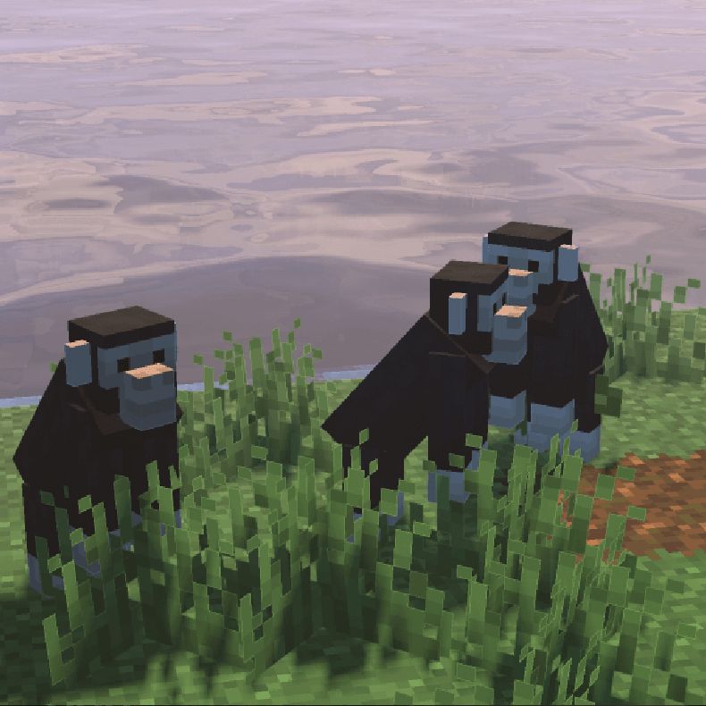 A Minecraft scene shows 3 monkeys next to the water.