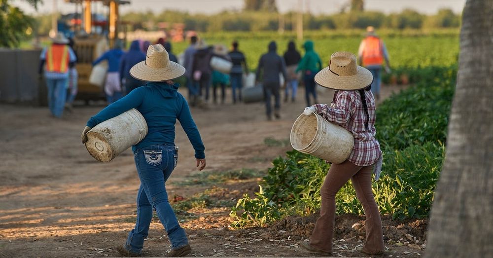 Pia Orrenius, a labor economist at the Federal Reserve Bank of Dallas, said immigrants normally contribute at least 50% of job growth in the U.S.