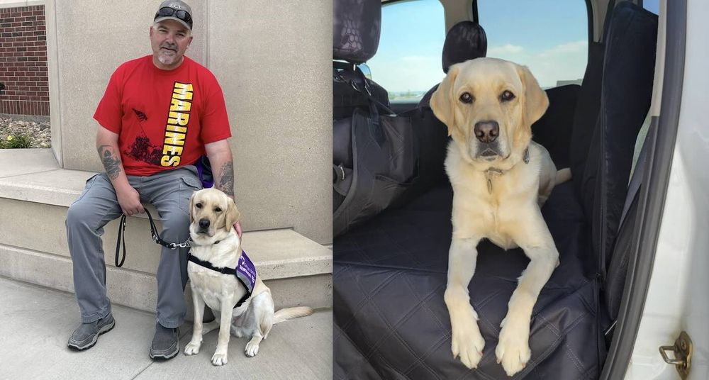 Tommy, a service dog trained to help a military veteran with PTSD, saved his owner's life by alerting him to an alarming cardiac event.