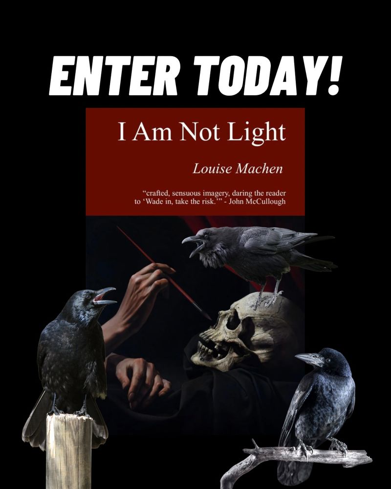 BOOK GIVEAWAY! Tomorrow it’s eleven weeks since my collection was published and I love the number eleven, so I’m doing a little giveaway… To win a copy of the book, a limited edition bookmark and a handwritten copy of a poem from the collection, all you have to do is: 1. Like and share this post 2. Leave a comment below ⬇️ 3. Tag a poetry lover The competition will run for a week and the winner will be announced next Friday 22nd August! #poetrycommunity #poetrycollection #poetry #giveaway #competition