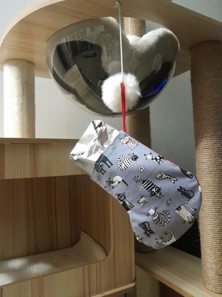 Photograph of a small Christmas stocking, made of of a blue fabric with black and white cartoon cats, hanging from a cat tree with one present jammed in and sticking out the top.