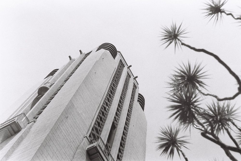 Looking upwards towards a tall art deco bell tower, partly framed by a sinuous tī kōuka palm tree