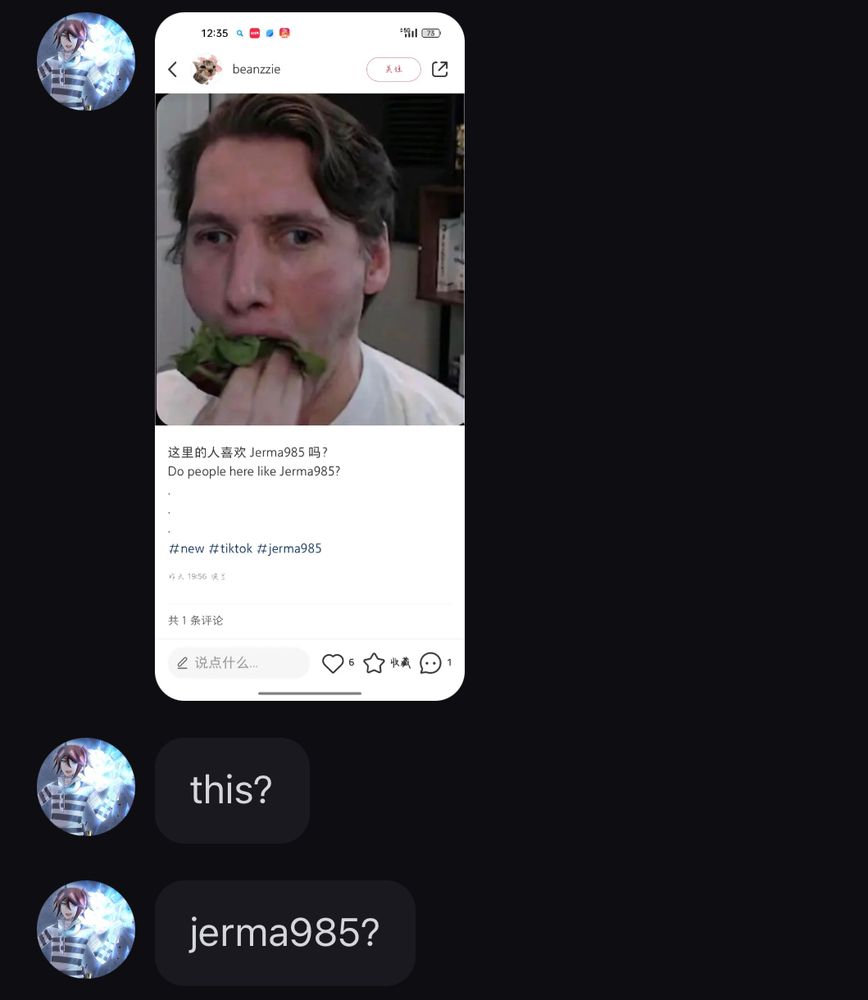 RedNote user sending a screenshot of the infamous ‘Jerma eating like an herbivore’ image, following up with two messages: “this? jerma985?”