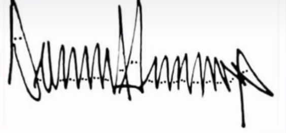 A picture of Donald tRump's signature with dots inside each letter making each letter look like a klansman looking at you. 